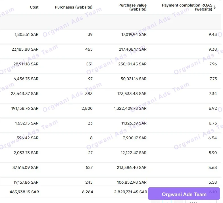 نتائج إعلانات تيك توك