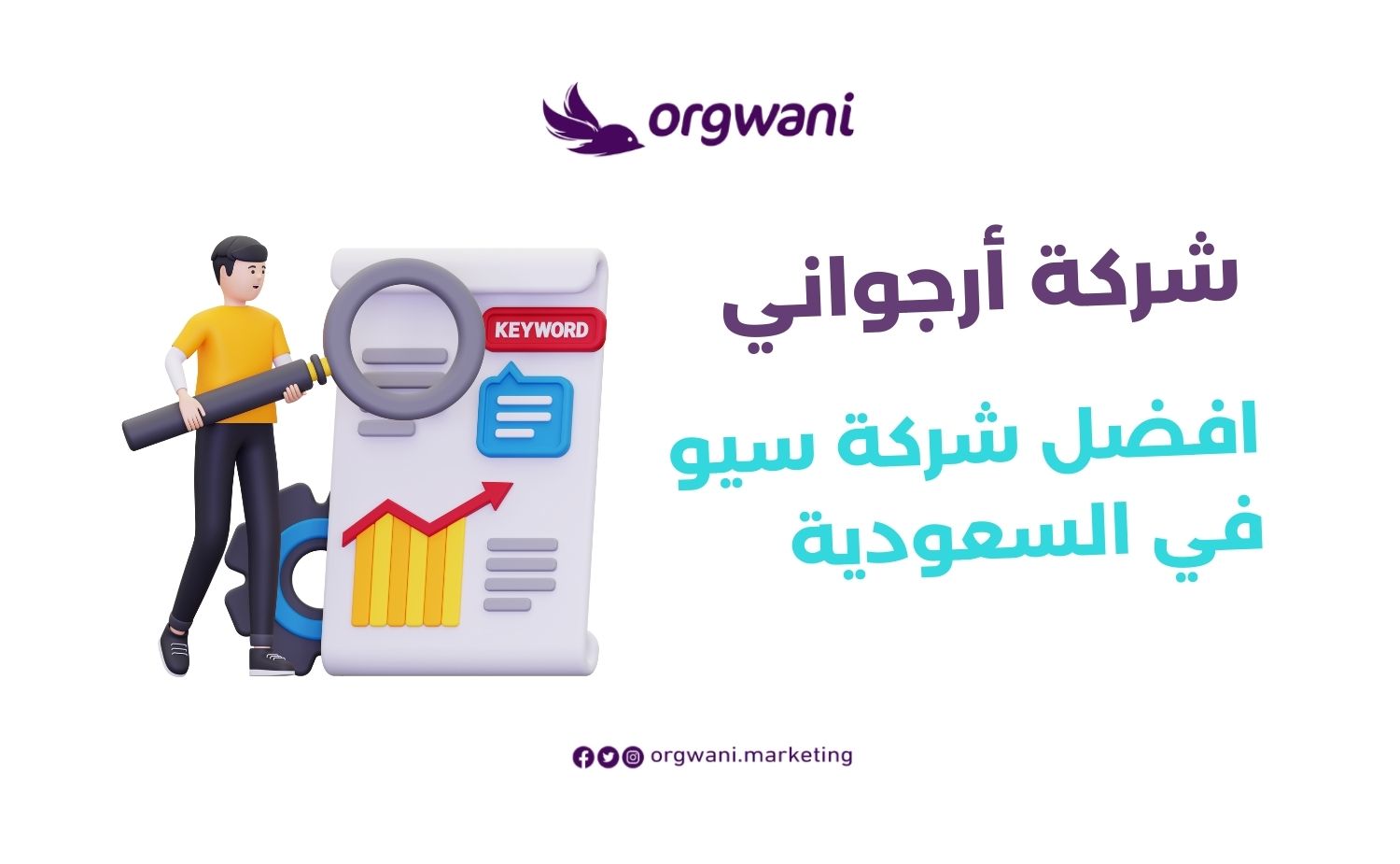 افضل شركة سيو في السعودية