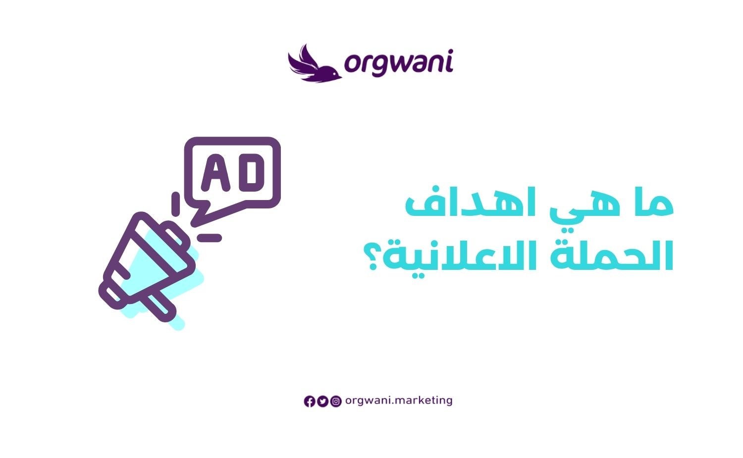 حملات اعلانية ناجحة