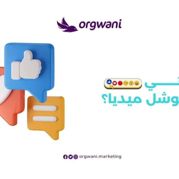 ما هي السوشيال ميديا