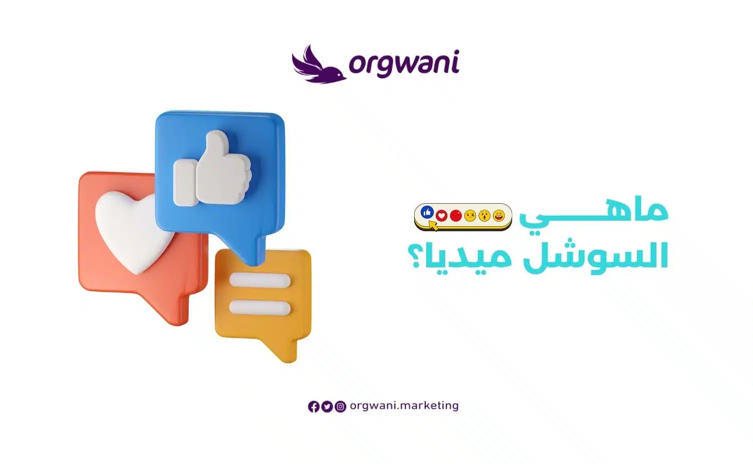 ما هي السوشيال ميديا
