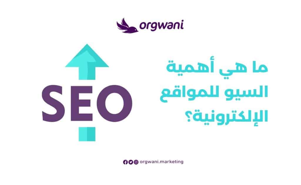 أهمية السيو للمواقع الإلكترونية