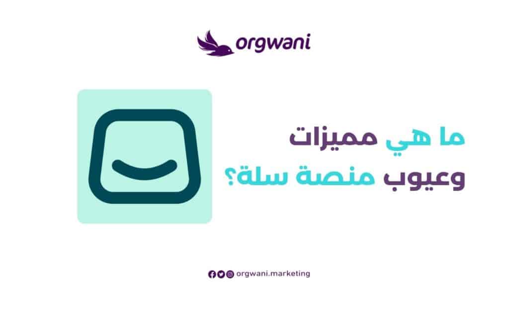 مميزات وعيوب منصة سلة
