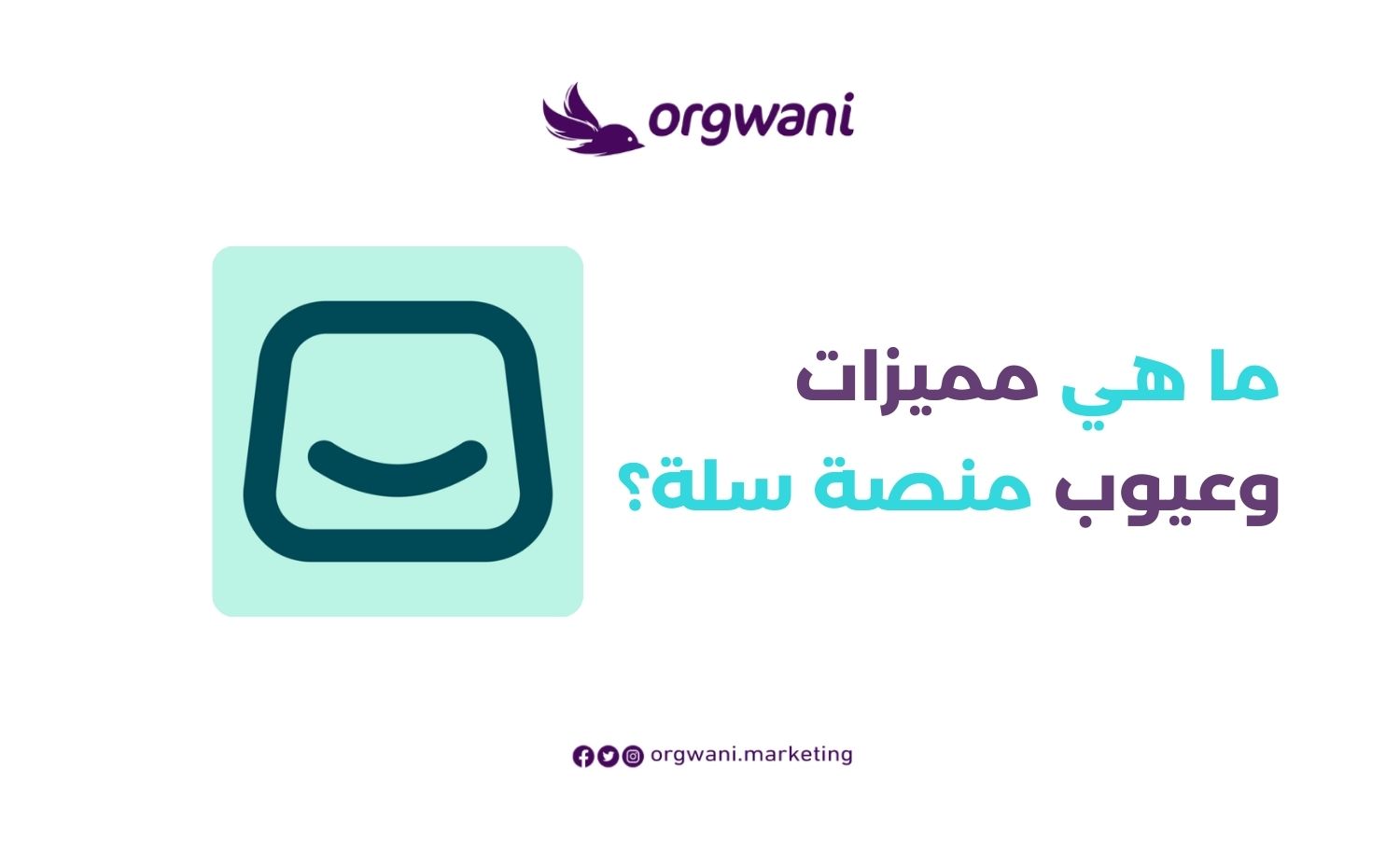 مميزات وعيوب منصة سلة