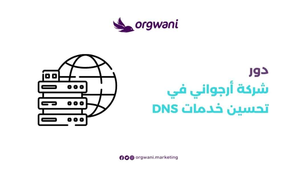 دور شركة أرجواني في تحسين خدمات DNS