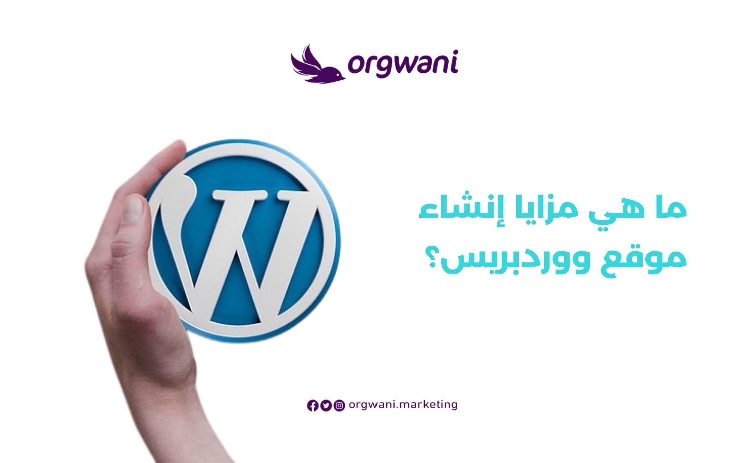 مزايا إنشاء موقع ووردبريس