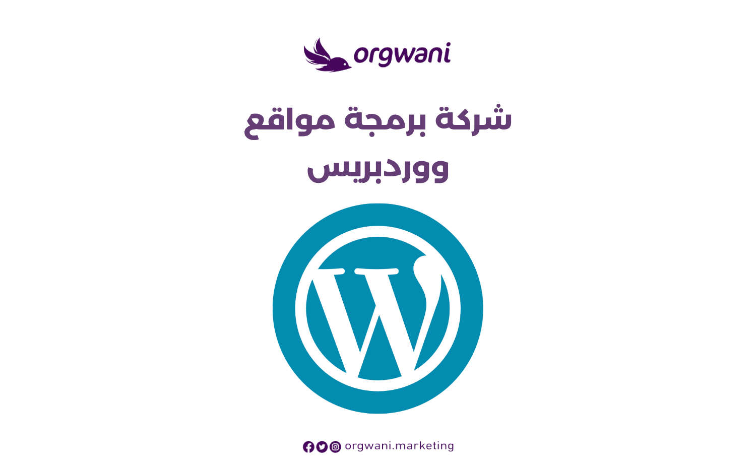 شركة برمجة مواقع ووردبريس