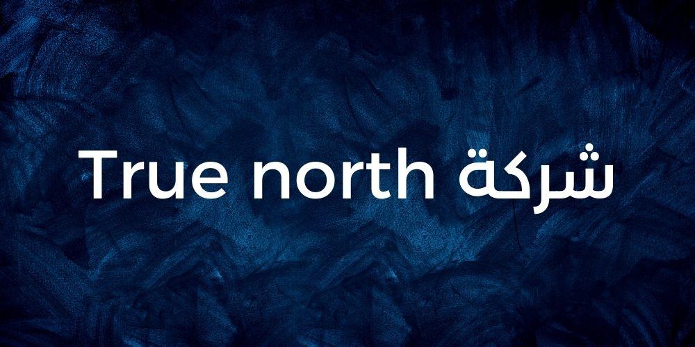 إدارة إعلانات السوشيال ميديا