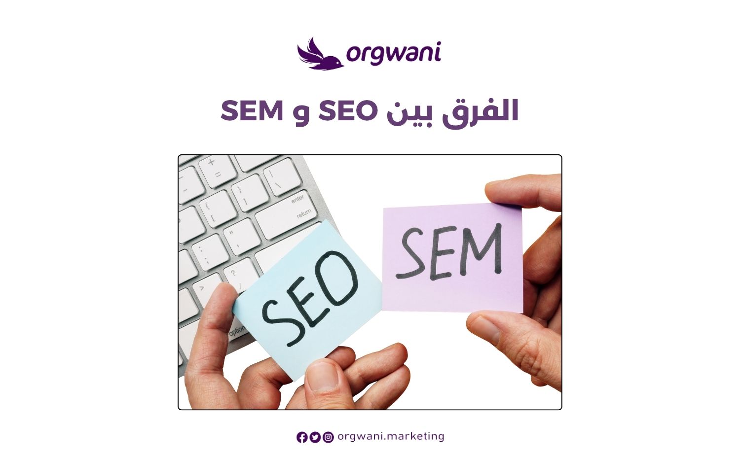 الفرق بين SEO و SEM