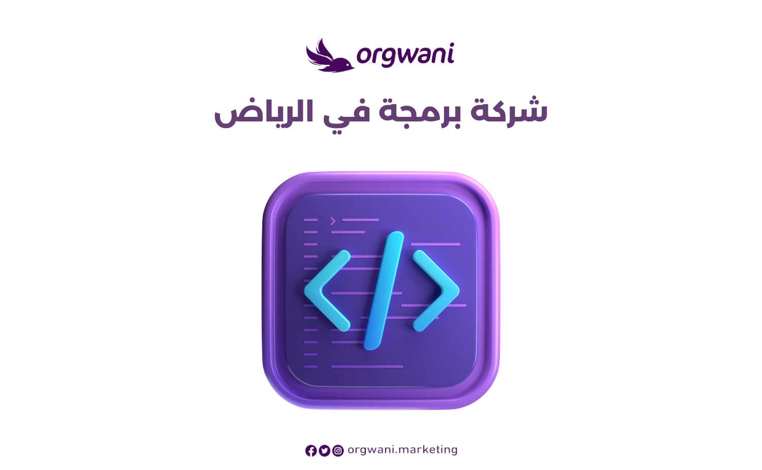 شركة برمجة في الرياض