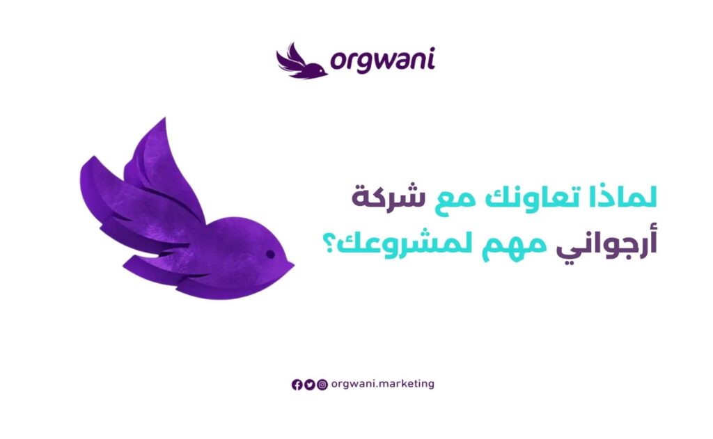 لماذا تعاونك مع شركة أرجواني مهم لمشروعك