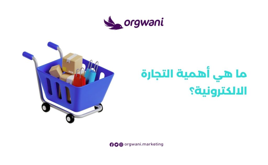 مميزات المتجر الالكتروني الناجح: دليل شامل من شركة أرجواني 1 أهمية التجارة الالكترونية