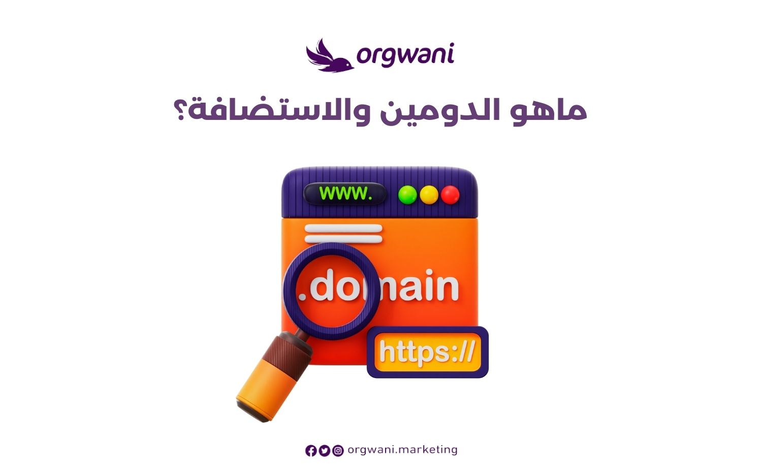 ماهو الدومين والاستضافة